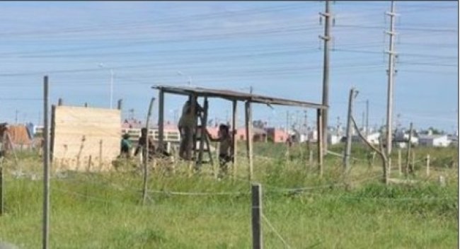 Usurpación masiva en Salto