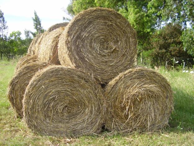 Intensa actividad de bomberos en incendio de fardos