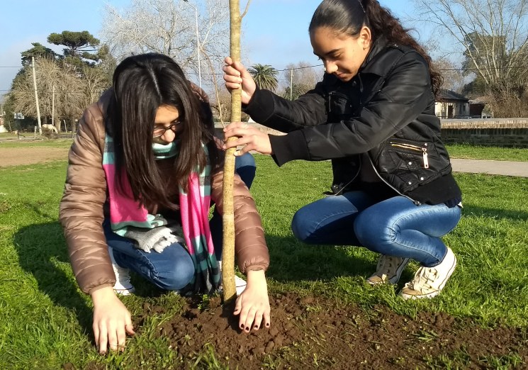 Se inició un plan de forestación de la ciudad
