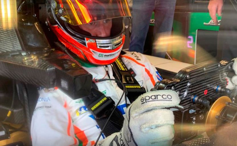 ¡Bestia, animal, desubicado!