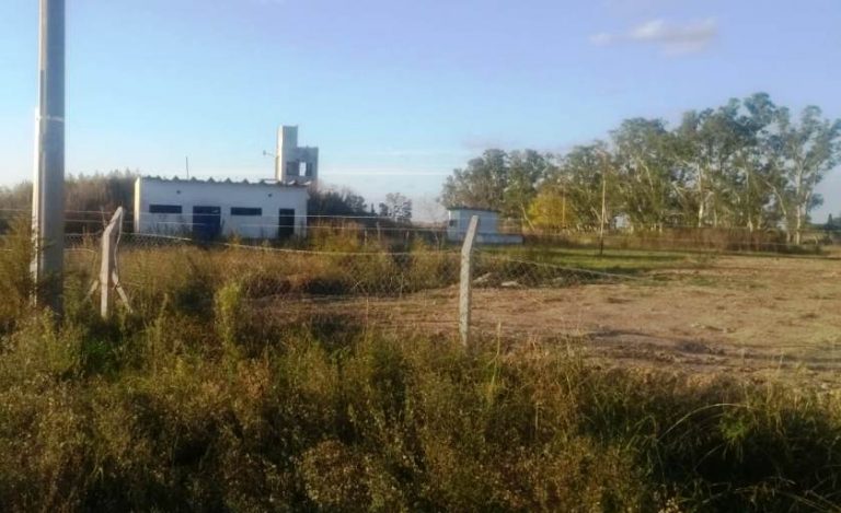 Ya se trabaja para instalar el frigorífico de cerdos municipal