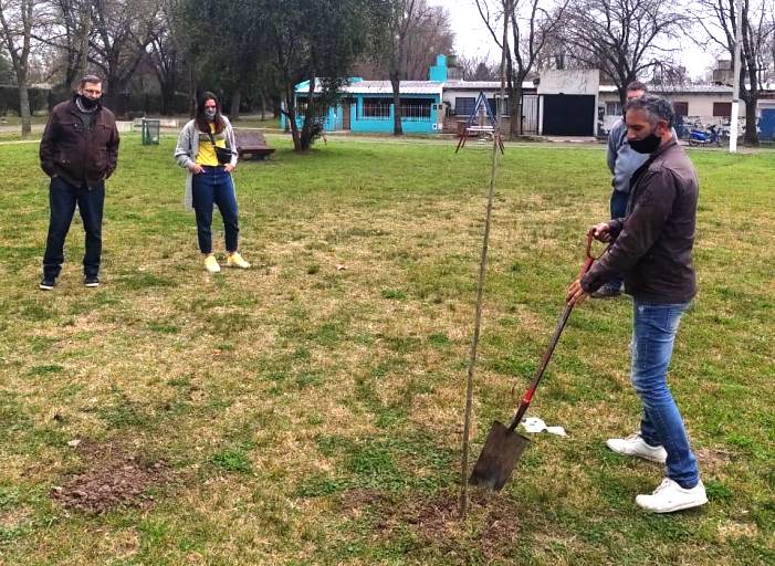 LA CÁMARA SIGUE PLANTANDO ÁRBOLES