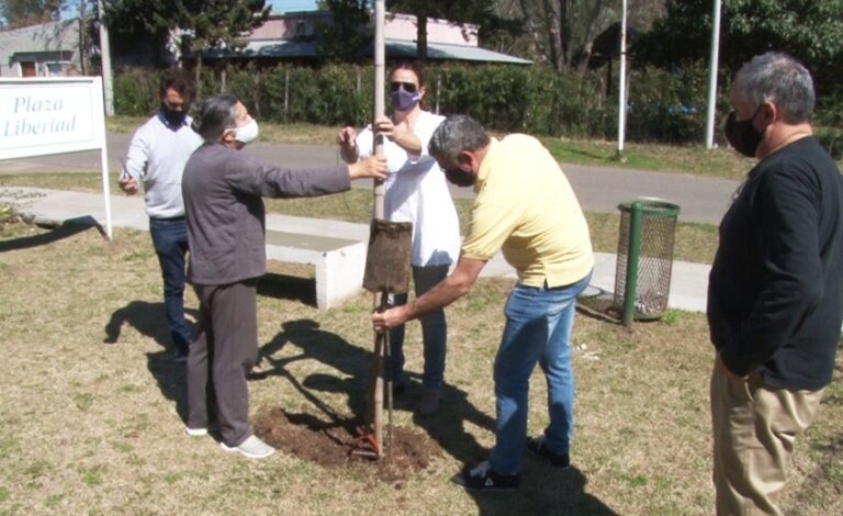 LA CÁMARA COMPLETA SU CAMPAÑA DE FORESTACIÓN 80×80