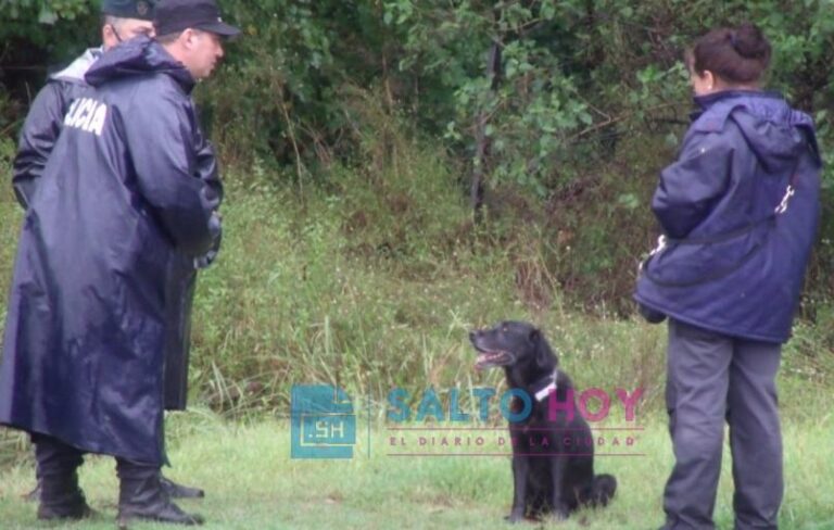 Intensa búsqueda del saltense desaparecido el lunes