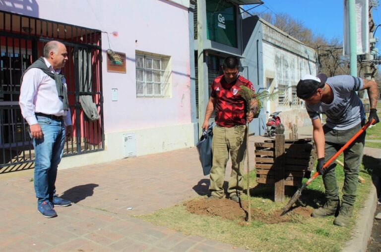 Nuevos árboles en Avenida Merlassino