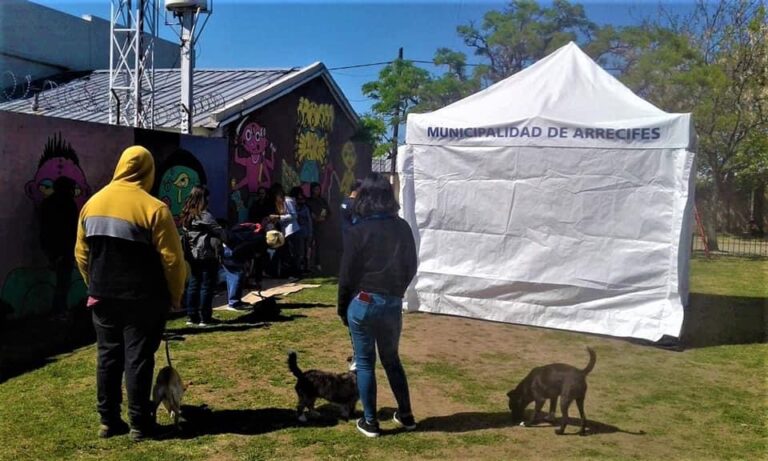 Tercera jornada de castraciones gratuitas en los barrios