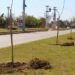 Forestación en Avenida Intendente Blanco