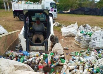 El trabajo por el medioambiente tiene sus frutos en Arrecifes