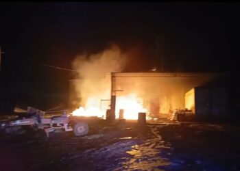 Video: Incendio en una chanchería