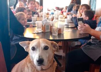 Insólito: un hombre que ladra espanta a los perros