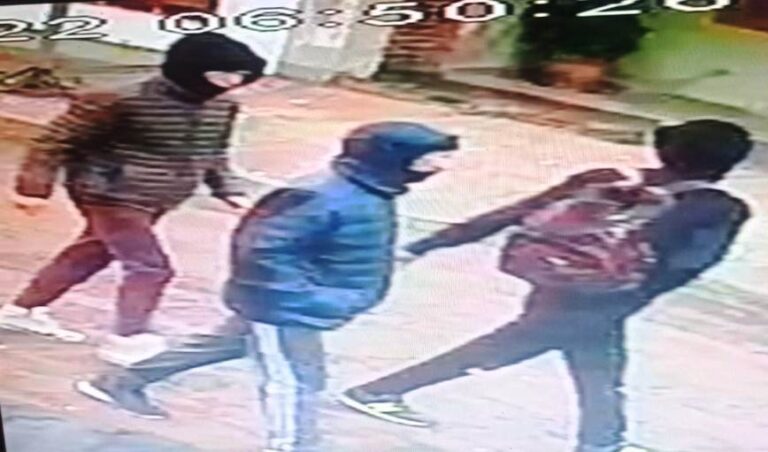 Video: Difundieron las cámaras del robo de una bici