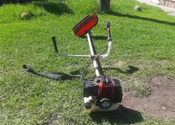 Detuvieron (y largaron) a dos autores de un robo