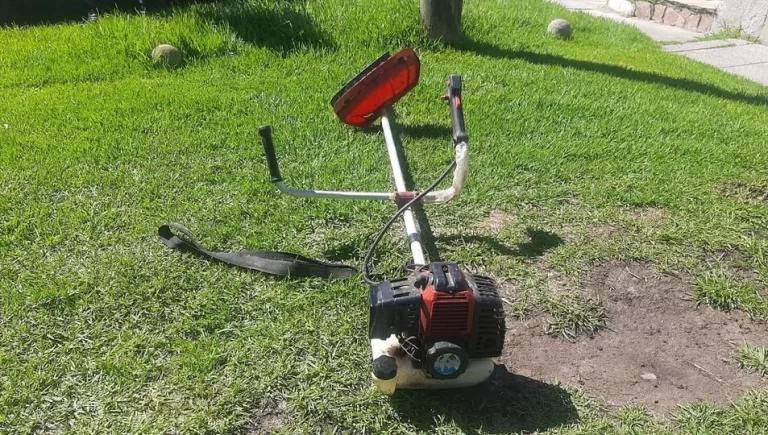 Detuvieron (y largaron) a dos autores de un robo