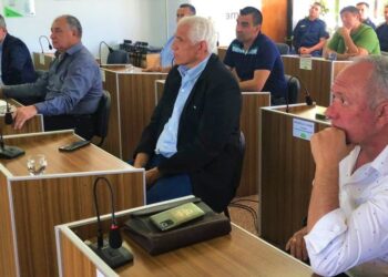 Arrecifes, presente en el Coloquio de Seguridad de Municipios