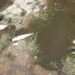 Miles de peces muertos en el río Arrecifes