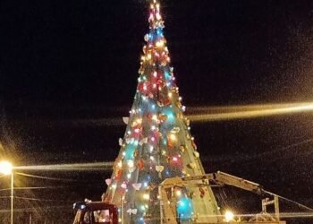 Instalaron un enorme árbol de Navidad en el Molino