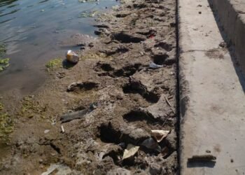 Reclamos por el estado de Balneario de Arrecifes