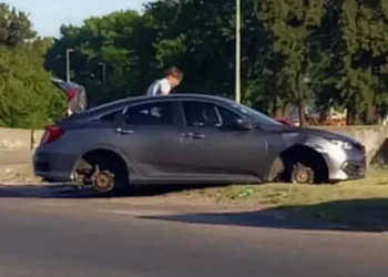 Video: incidentes y robos en el recibimiento a la Selección