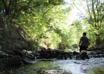 Arroyo El Contador: el tesoro escondido de Arrecifes