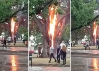 VIDEO. Un rayo fulminante cayó en pleno centro de Lincoln