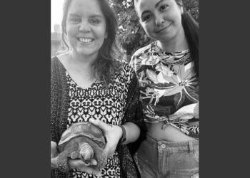 Recompensa de 20 mil pesos por una tortuga