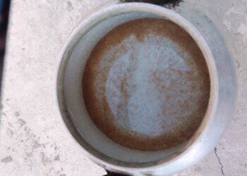 ¿Es potable el agua en Arrecifes?