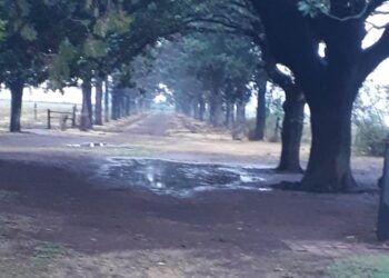 Sin más lluvias este finde en Arrecifes