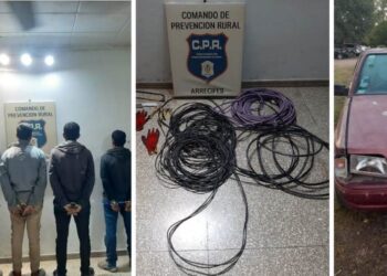 Detienen a cinco personas que intentaban robar en un campo