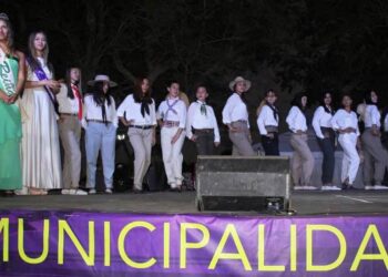 Una fiesta en pleno crecimiento en Viña