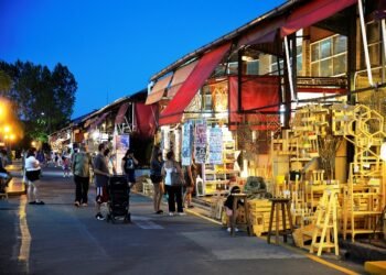 Siete cosas que hacer en el Tigre