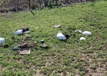 Destrozaron una imagen de la Virgen de Luján y el resto de una ermita