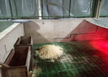 Inseguridad en Arrecifes: nuevo robo a la Escuela Agraria