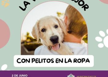 La Municipalidad recuerda que hoy es el Día del Perro