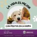 La Municipalidad recuerda que hoy es el Día del Perro