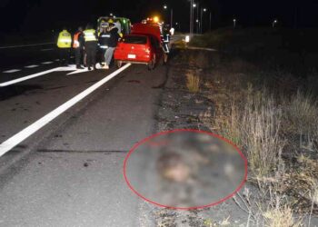 Arrecifeños accidentados en la autopista 8
