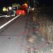 Arrecifeños accidentados en la autopista 8