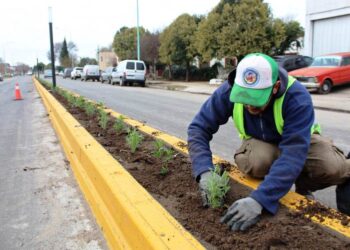 Urbanización y embellecimiento de Avenida Belgrano