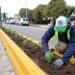 Urbanización y embellecimiento de Avenida Belgrano