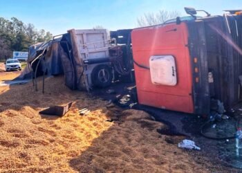 Volcó un camión en ruta 8