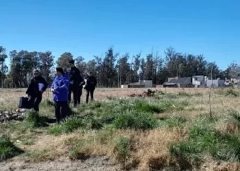 Horror en Mar del Plata: macabro hallazgo
