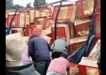 Del programa de Doman llamaron a un periodista de Arrecifes y se encontraron con una sorpresa