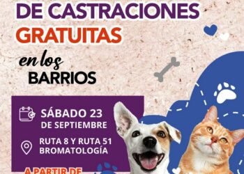 Otro sábado de castraciones gratuitas