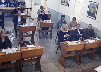 Silvina De Paris reemplaza a Bouvier en el Concejo