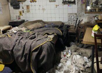 Indignante: rescataron a dos niños de un prostíbulo en Pergamino