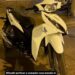 Ya son tres las motos robadas el mismo fin de semana, y con una particularidad