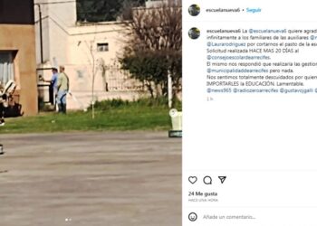 En Arrecifes ya ni cortan el pasto en las escuelas