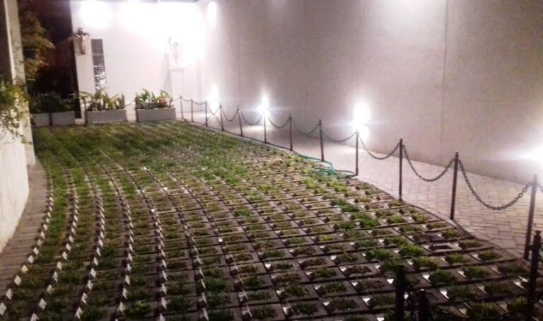 La Parroquia San Roque pidió autorización para hacer un cementerio de cenizas