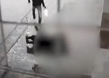 Imágenes sensibles: asesinaron a un policía en un hospital de Rosario