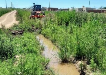 Trabajos en calles Brasil y San Pedro