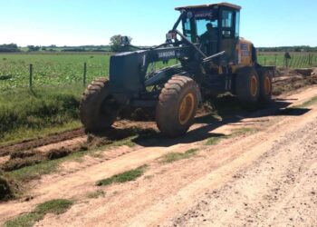 Trabajos en caminos rurales, en Viña y en Todd